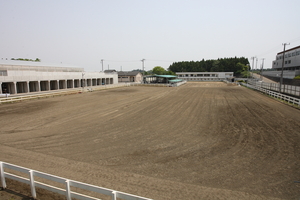 馬専門校　優駿学園・アニマルベジテイションカレッジ1